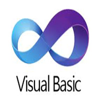 Visual Basic